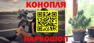 трава Гатчина