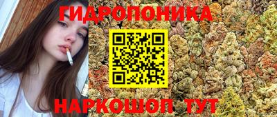 ешки Гай