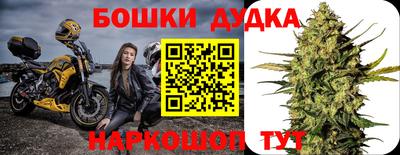 трава Гатчина