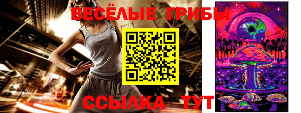 Псилоцибиновые грибы прущие грибы Гуково