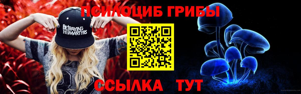 цены   Псилоцибиновые грибы Magic Shrooms  Вход с VPN  Гуково  Галлюциногенные грибы MAGIC MUSHROOMS 